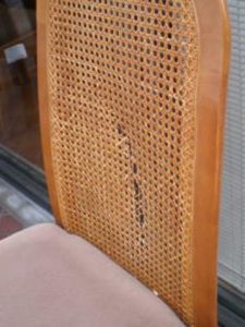 食堂椅子の背籐修理